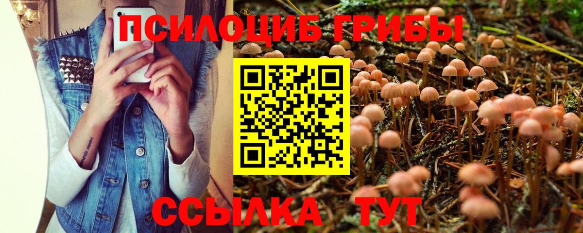 Псилоцибиновые грибы MAGIC MUSHROOMS  Псилоцибиновые грибы мицелий  Вход с VPN  Верхняя Пышма 